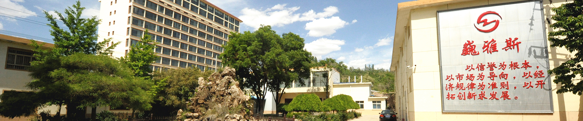 巍雅斯開創(chuàng)于1976年，50年來，在黨的改革開放政策指引下，始終堅持“以信譽(yù)為根本、以市場為導(dǎo)向、以經(jīng)濟(jì)規(guī)律為準(zhǔn)則、以開拓創(chuàng)新求發(fā)展”，與甘肅、寧夏、青海、陜西、西藏、內(nèi)蒙等六省區(qū)80多家大型零售商場建立了長期友好的合作關(guān)系。